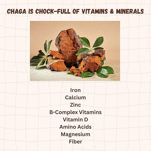 Go Nutra Chaga Mushroom Powder | Chaga Extract 10:1 | 30% Polysaccharides | Mushroom Supplement Superfood, 8 oz. (226 Grams) in Kuwait