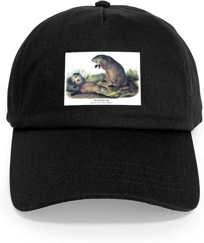 CafePress Audubon Woodchuck Groundhog Cap Adjustable Baseball Cap in Saudi Arabia