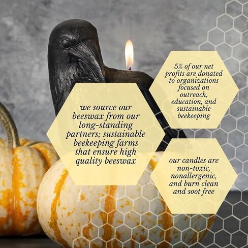 Big Dipper Wax Works Black Skull Candle, 40-Hour Long Burn, Pure Beeswax Sculpted Candle, 3.5" x 3.75", Spooky Candle in Saudi Arabia