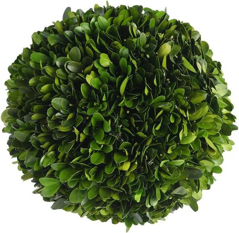 Decorative Boxwood Balls for Bowls and Decorative Balls for Centerpiece Bowl Fillers Vase Fillers Home, Kitchen, Living Room Decor (8 inch) in Saudi Arabia