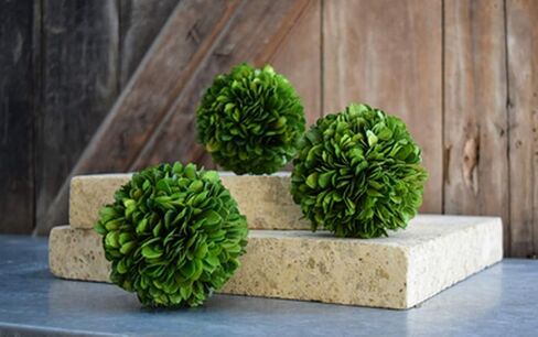 Decorative Boxwood Balls for Bowls and Decorative Balls for Centerpiece Bowl Fillers Vase Fillers Home, Kitchen, Living Room Decor (8 inch) in Saudi Arabia