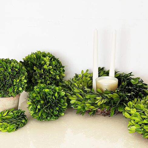 Decorative Boxwood Balls for Bowls and Decorative Balls for Centerpiece Bowl Fillers Vase Fillers Home, Kitchen, Living Room Decor (8 inch) in Saudi Arabia