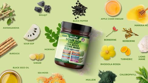 Soursop Shilajit ، Sea Moss ، و Lions Mane - 24 في 1 مع Ashwagandha ، زيت البذور السوداء ، Rhodiola Rosea ، الزنجبيل ، الكولاجين ، الكركم - صنع في الولايات المتحدة الأمريكية - 60 كبسولة in Saudi Arabia