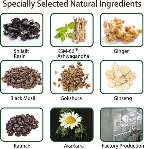 Shilajit Gummies for Men and Women I 4000mg Pure Himalayan Shilajit I 75%+ Fulvic Acid I Ashwagandha and 6+ Natural Ingredients I Non-GMO and No Added Sugar I 60 Count - BlackBerry Flavor in Saudi Arabia