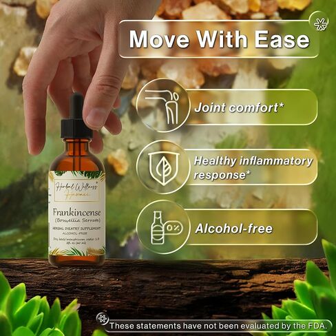 Frankincense Liquid Extract - Herbal Wellness Supplement, Boswellia Serrata Dried Resin Tincture, Alcohol-Free 4 Fl.oz in Saudi Arabia