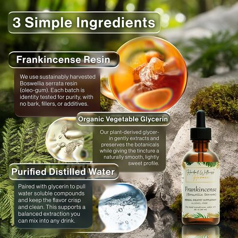 Frankincense Liquid Extract - Herbal Wellness Supplement, Boswellia Serrata Dried Resin Tincture, Alcohol-Free 4 Fl.oz in Saudi Arabia