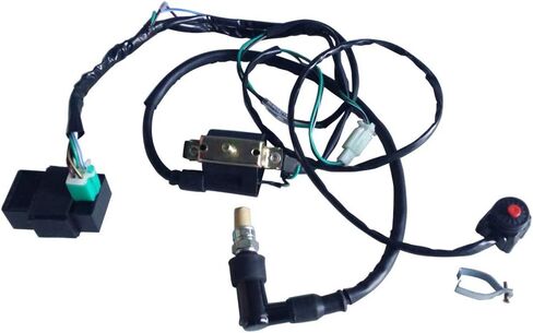 2 Coil Stator Magneto Flywheel with Wiring Harness CDI for Lifan 70cc 90cc 110cc 125cc 140cc YX Dirt Pit Bike SSR Taotao Apollo XR50 CRF50 CRF70 XR70 Coolster Roketa in Saudi Arabia