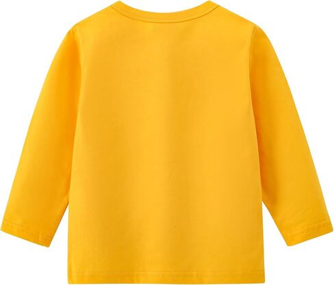 Aiwuhe Toddler Long Sleeve T Dertts Cotton Soft Tshirts Boys Girls Basic Tee Lundershirts Solid Color Crew Deck Tops 1-6y in Kuwait