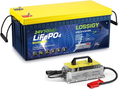 بطارية بلوتوث ليثيوم 24V Lithium مع شاحن ليثيوم 15A ، تطبيق بلوتوث مريح ، ذروة التيار 400A (3-5S) ، 10 سنوات عمر ، قذيفة أكثر ضغطًا ، IP65 مثالية لمحرك التصيد ، القارب ، RV in Kuwait