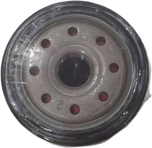 15601-76009-71 شبكة زيت زيت زيت الرافعة الشوكية 156017600971 مرشح تم تكييف in Saudi Arabia