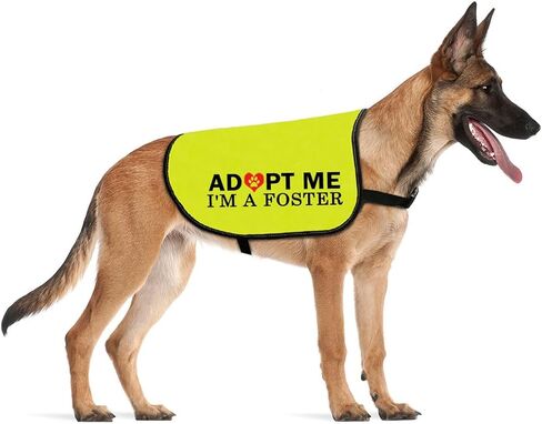 CENWA Adopt Me I’m A Foster Dog Jacket Vest Adopt Me Dog Jacket Vest New Puppy Dog (I'm A Foster L) in Saudi Arabia