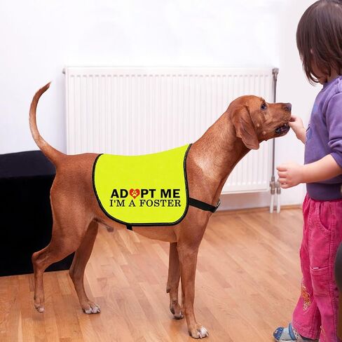 CENWA Adopt Me I’m A Foster Dog Jacket Vest Adopt Me Dog Jacket Vest New Puppy Dog (I'm A Foster L) in Saudi Arabia