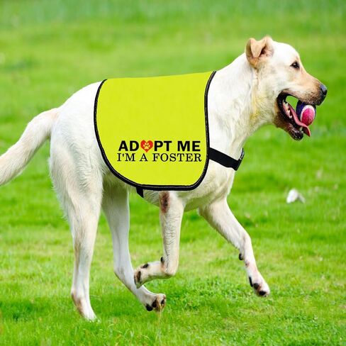 CENWA Adopt Me I’m A Foster Dog Jacket Vest Adopt Me Dog Jacket Vest New Puppy Dog (I'm A Foster L) in Saudi Arabia
