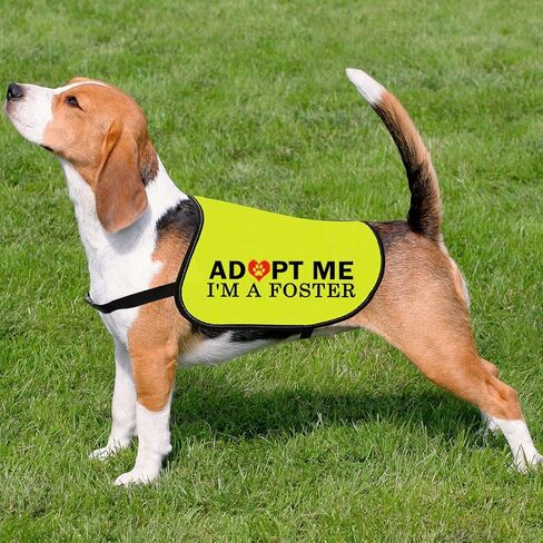 CENWA Adopt Me I’m A Foster Dog Jacket Vest Adopt Me Dog Jacket Vest New Puppy Dog (I'm A Foster L) in Saudi Arabia