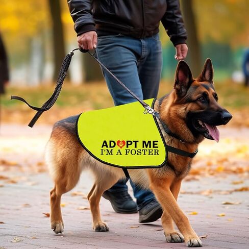 CENWA Adopt Me I’m A Foster Dog Jacket Vest Adopt Me Dog Jacket Vest New Puppy Dog (I'm A Foster L) in Saudi Arabia
