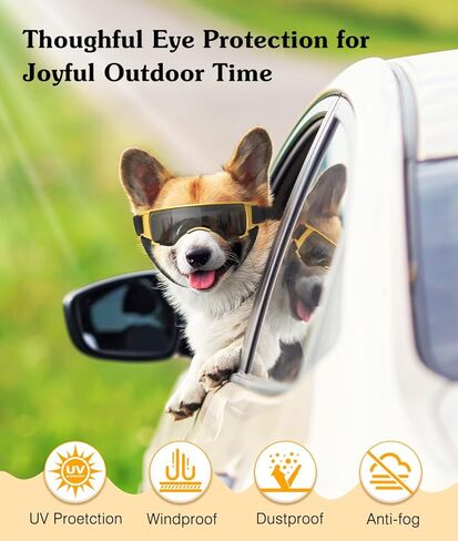نظارات للكلاب الصغيرة، نظارات شمسية للحماية من الأشعة فوق البنفسجية مع حزام قابل للتعديل، نظارات شمسية مضادة للرياح والغبار ومضادة للضباب لحماية عين الكلاب للكلاب الصغيرة أثناء القيادة في الهواء الطلق، أسود وذهبي in Kuwait