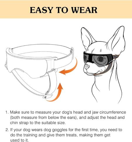 نظارات للكلاب الصغيرة، نظارات شمسية للحماية من الأشعة فوق البنفسجية مع حزام قابل للتعديل، نظارات شمسية مضادة للرياح والغبار ومضادة للضباب لحماية عين الكلاب للكلاب الصغيرة أثناء القيادة في الهواء الطلق، أسود وذهبي in Kuwait