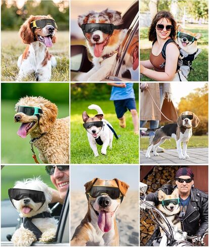 نظارات للكلاب الصغيرة، نظارات شمسية للحماية من الأشعة فوق البنفسجية مع حزام قابل للتعديل، نظارات شمسية مضادة للرياح والغبار ومضادة للضباب لحماية عين الكلاب للكلاب الصغيرة أثناء القيادة في الهواء الطلق، أسود وذهبي in Kuwait