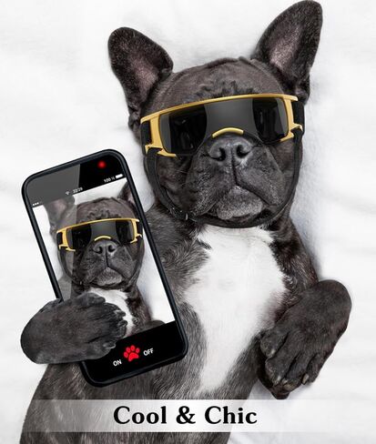 نظارات للكلاب الصغيرة، نظارات شمسية للحماية من الأشعة فوق البنفسجية مع حزام قابل للتعديل، نظارات شمسية مضادة للرياح والغبار ومضادة للضباب لحماية عين الكلاب للكلاب الصغيرة أثناء القيادة في الهواء الطلق، أسود وذهبي in Kuwait