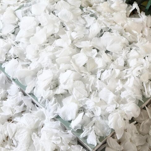 1500+ Dried Real Hydrangea Petals, Natural Preserved Flower Petal for Wedding Party Dinner Table Decor, Romantic Night, Engagement, Bridal Shower, Valentines Day, Confetti (1.1oz, White) in Kuwait