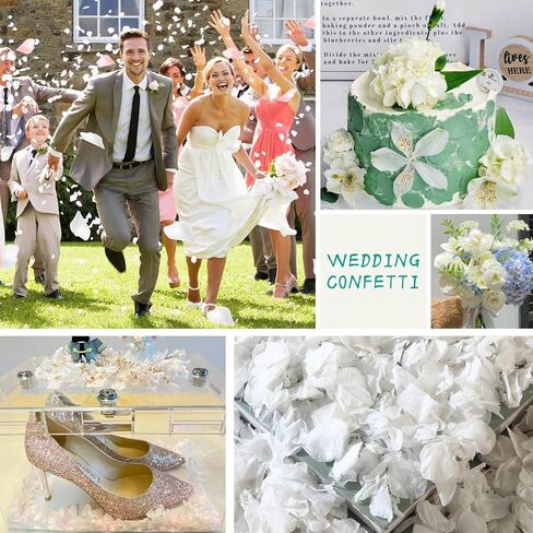 1500+ Dried Real Hydrangea Petals, Natural Preserved Flower Petal for Wedding Party Dinner Table Decor, Romantic Night, Engagement, Bridal Shower, Valentines Day, Confetti (1.1oz, White) in Kuwait