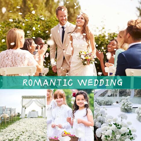 1500+ Dried Real Hydrangea Petals, Natural Preserved Flower Petal for Wedding Party Dinner Table Decor, Romantic Night, Engagement, Bridal Shower, Valentines Day, Confetti (1.1oz, White) in Kuwait