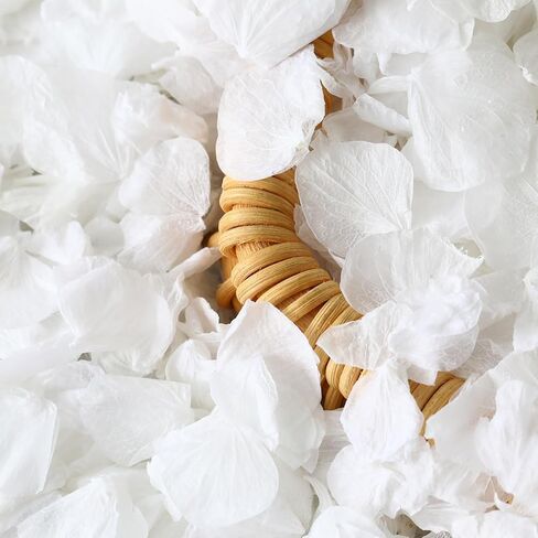 1500+ Dried Real Hydrangea Petals, Natural Preserved Flower Petal for Wedding Party Dinner Table Decor, Romantic Night, Engagement, Bridal Shower, Valentines Day, Confetti (1.1oz, White) in Kuwait