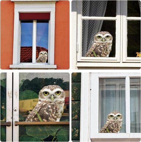 HD Realistic Owl Removable Vinyl Window Sticker for Living Room, Bedroom, Bathroom Window Decorations (9.8X8.6) Inches in Saudi Arabia