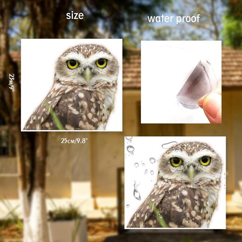 HD Realistic Owl Removable Vinyl Window Sticker for Living Room, Bedroom, Bathroom Window Decorations (9.8X8.6) Inches in Saudi Arabia