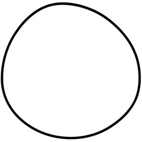 Replacement for fits Seal 190493A1 Fits Case 570LXT in Kuwait