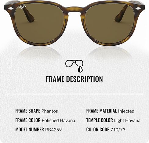 Ray-Ban RB4259 Phantos Shaped Sunglasses for Men & Women with Official RAYBAN Eyewear Kit in Saudi Arabia