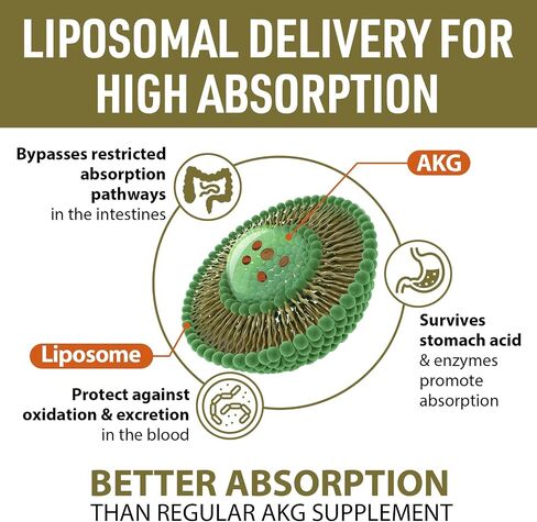 Liposomal Calcium AKG Supplement 1500 MG (Alpha-Ketoglutaric Acid), High Absorption, More Effective Than AAKG, Ca AKG for Longevity, Age Defense, Cellular Energy, Metabolic Function, 120 Softgels in Saudi Arabia