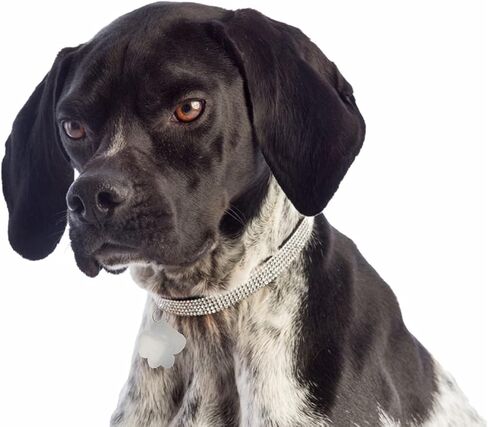 فراغات سلسلة مفاتيح أكريليك، 20 قطعة من الأكريليك على شكل مخلب القط مفتاح سلسلة مفاتيح على شكل مخلب قطة فارغة من الأكريليك الشفاف مع حلقة مفاتيح in Kuwait