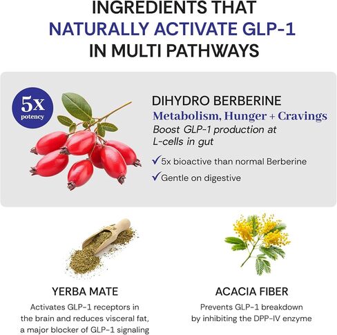 GLP-1 Optimal - Dihydroberberine 300mg, Prebiotics, Natural GLP-1 Supplement for Metabolic, Energy, Made in USA, 60 Capsules, 1 Month Supply in Saudi Arabia