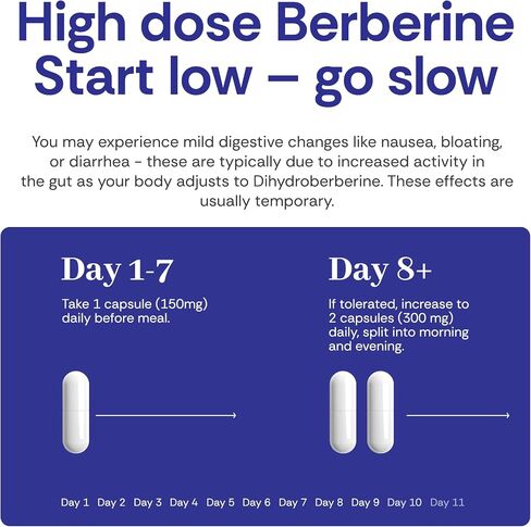 GLP-1 Optimal - Dihydroberberine 300mg, Prebiotics, Natural GLP-1 Supplement for Metabolic, Energy, Made in USA, 60 Capsules, 1 Month Supply in Saudi Arabia