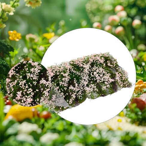 Flower Cluster Grass Tuft Artificial DIY Flower Vegetation Group Lowland Shrubs Tuft for Dioramas Terrain Layout Sand 6.69x3.94x0.71 inch- in Saudi Arabia