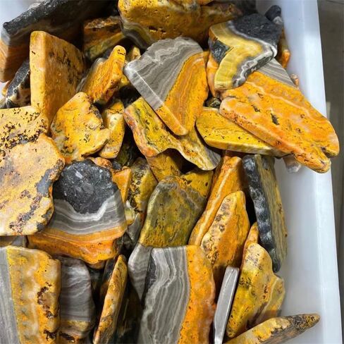Wholesale Rough Stone bumblebees Jasper Slab Slice for Decoration 1pc in Saudi Arabia