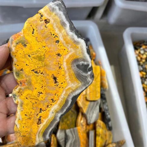 Wholesale Rough Stone bumblebees Jasper Slab Slice for Decoration 1pc in Saudi Arabia
