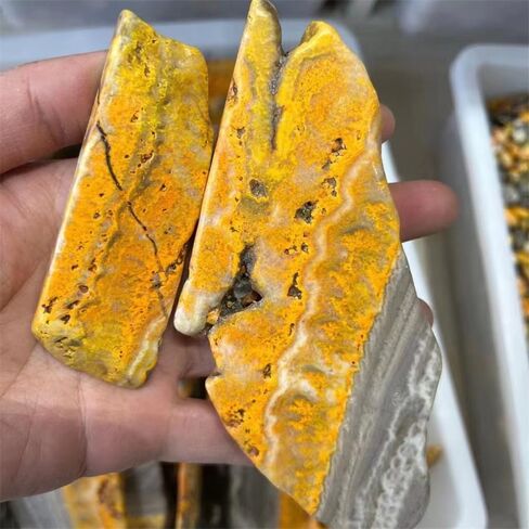 Wholesale Rough Stone bumblebees Jasper Slab Slice for Decoration 1pc in Saudi Arabia