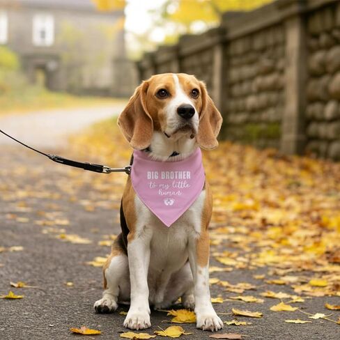 Big Brother Dog Bandana, Baby Pink Dog Bandana, Big Brother Bandana for Dog, Gender Reveal Dog Bandana, Baby Announcement Dog Bandana, Dog Bandana for Small Medium Large Dogs, Dog Triangle Scarf (D1) in Saudi Arabia