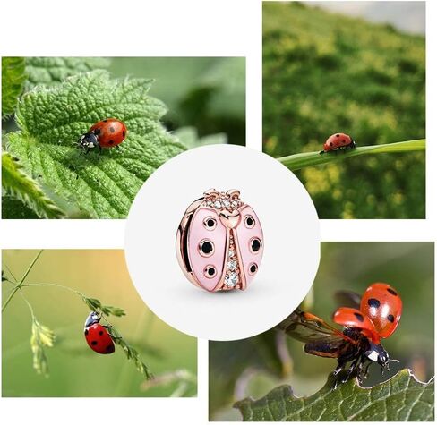 925 Sterling Silver Lucky Number 8 Zircon Charms Bead, Infinity Love Charms Beads for Bracelet Fit Pandora in Kuwait