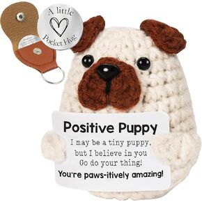 دجاج كروشيه إيجابي مصغرة مع عناق الجيب ، والدعم العاطفي لطيف الرسائل التحفيزية للكروشيه ، والكروشيه الإيجابية ، هدية عيد ميلاد للنساء ، ومخلل الدعم العاطفي ، والحيوان المحشوة بالدجاج in Kuwait