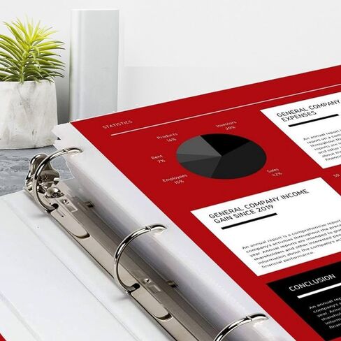 Office Werks 250 Sheet Protectors, 8.5 X 11 Inch Clear Page Protectors for 3 Ring Binder, Plastic Sheet Sleeves Protectors, Durable Top Loading Paper Protector with Reinforced Holes, Archival Safe in Kuwait