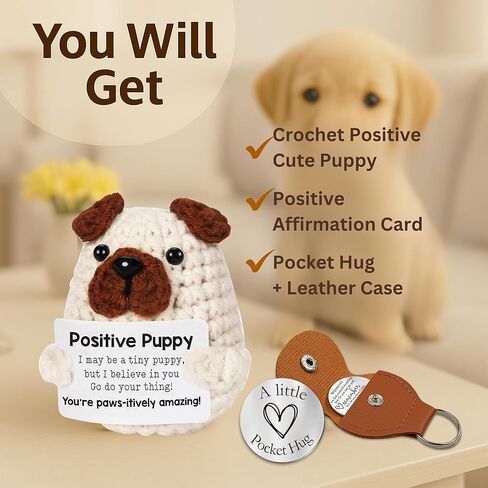 دجاج كروشيه إيجابي مصغرة مع عناق الجيب ، والدعم العاطفي لطيف الرسائل التحفيزية للكروشيه ، والكروشيه الإيجابية ، هدية عيد ميلاد للنساء ، ومخلل الدعم العاطفي ، والحيوان المحشوة بالدجاج in Kuwait