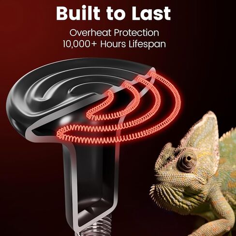 Dual Reptile Light Fixture with Switches, Reptile Heat Lamp Fixture, Reptiles Terrarium UVB Bulb Fixture for Bearded Dragon, Max 160W Each in Saudi Arabia