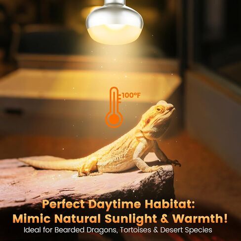 Dual Reptile Light Fixture with Switches, Reptile Heat Lamp Fixture, Reptiles Terrarium UVB Bulb Fixture for Bearded Dragon, Max 160W Each in Saudi Arabia