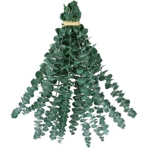 Eucalyptus for Shower Hanging, 12pcs Dried Eucalyptus Branches Shower Plant for Bathroom SPA in Saudi Arabia