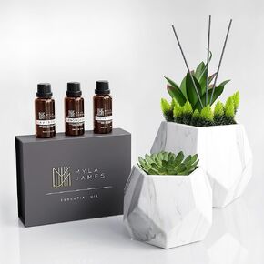 2in1 Reed Diffusers for Home & Faux Succulents Plants Artificial Set-Ceramic Potted Succulents x2 Pcs, Home Fragrance w/Lavender, Lemongrass, Eucalyptus Essential Oilx3 bottles 30ml with 9 Reed Sticks in Saudi Arabia