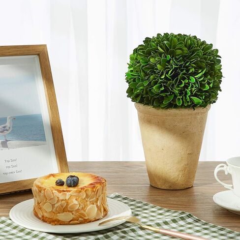 Real Preserved Boxwood Evergreen Potted Tree Globe Tree Topiary in Terracotta Planter, Home Hotel Office Decor Farmhouse (Double Balls Topiary, 12 inches high) in Saudi Arabia