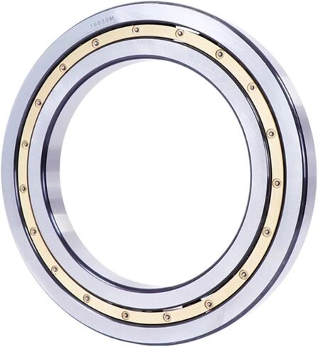 61852 61856 61860 61864 61868 61872 61876 6188M Deep Groove Ball Bearing(61872M 360X440X38) in Saudi Arabia